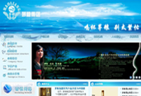 云南茅粮酒业集团（2008-2011）